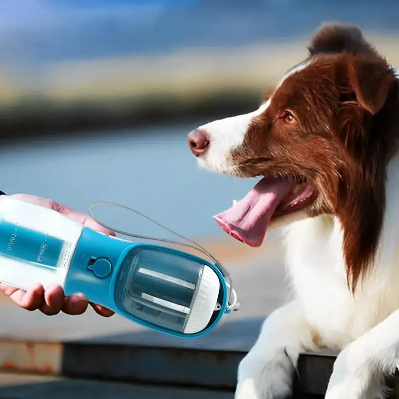 3 In 1 Pet Portable Water Cup