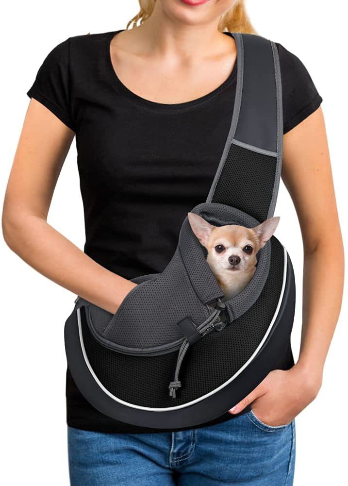 Portable Pet Travel Bag