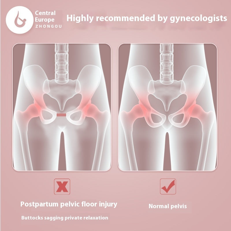Thigh and Pelvic Floor Muscle Trainer
