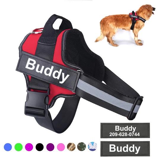 Personalized Reflective Pet Vest